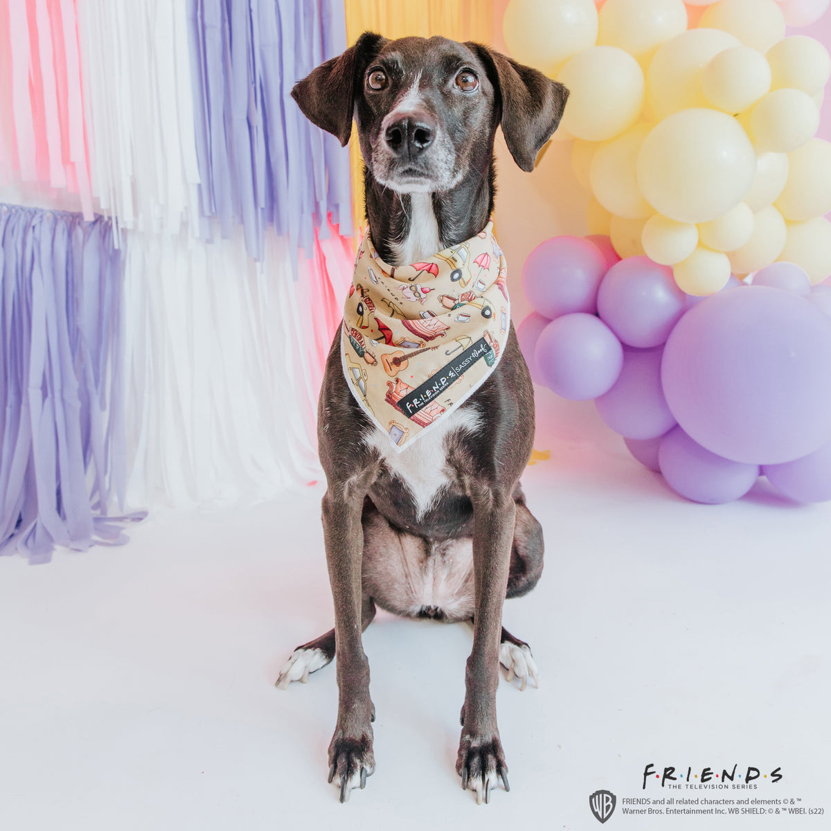 Dog Bandana - Friends™ (Yellow)