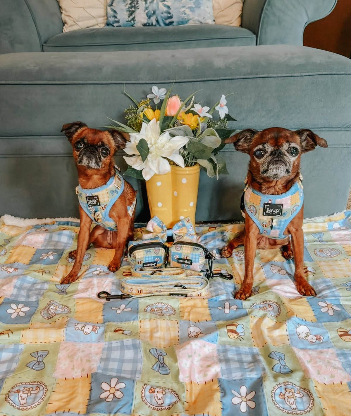 Dog Sailor Bow - Patch Perfect