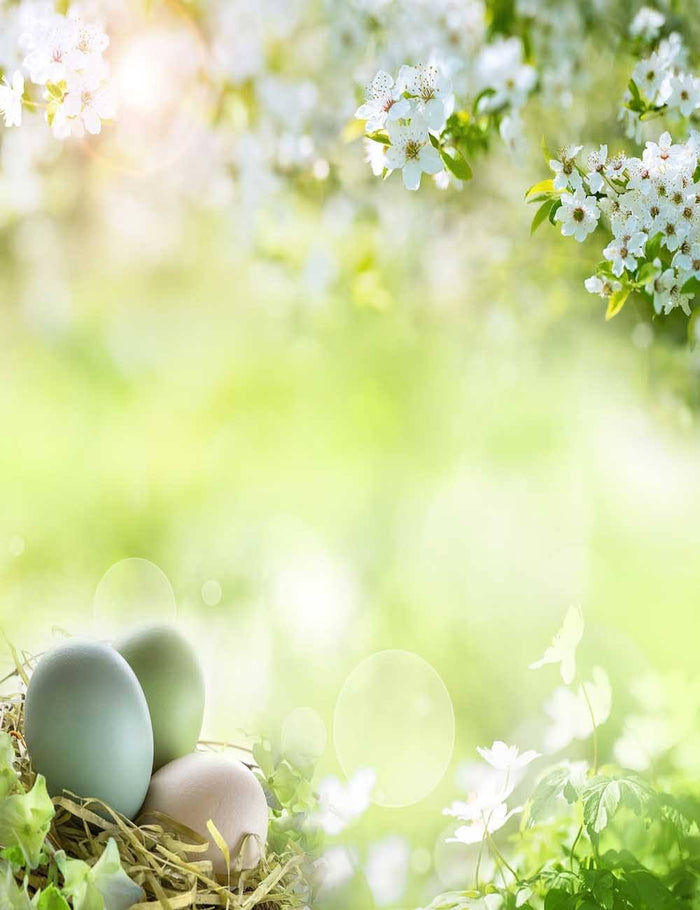 Spring Flower Easter Eggs With Green Background For Easter Holiday Photography Shopbackdrop