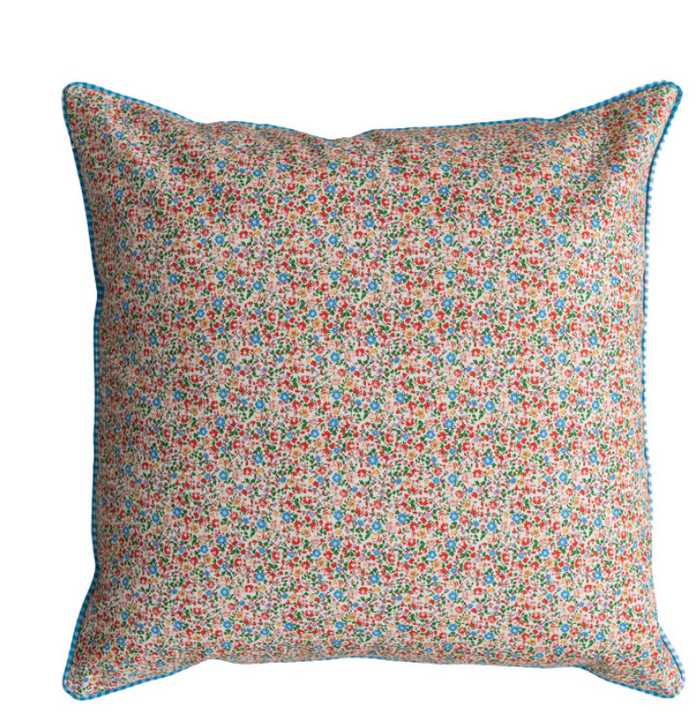 20" SQUARE COTTON CANVAS PRINTED PILLOW, 2 COLORS