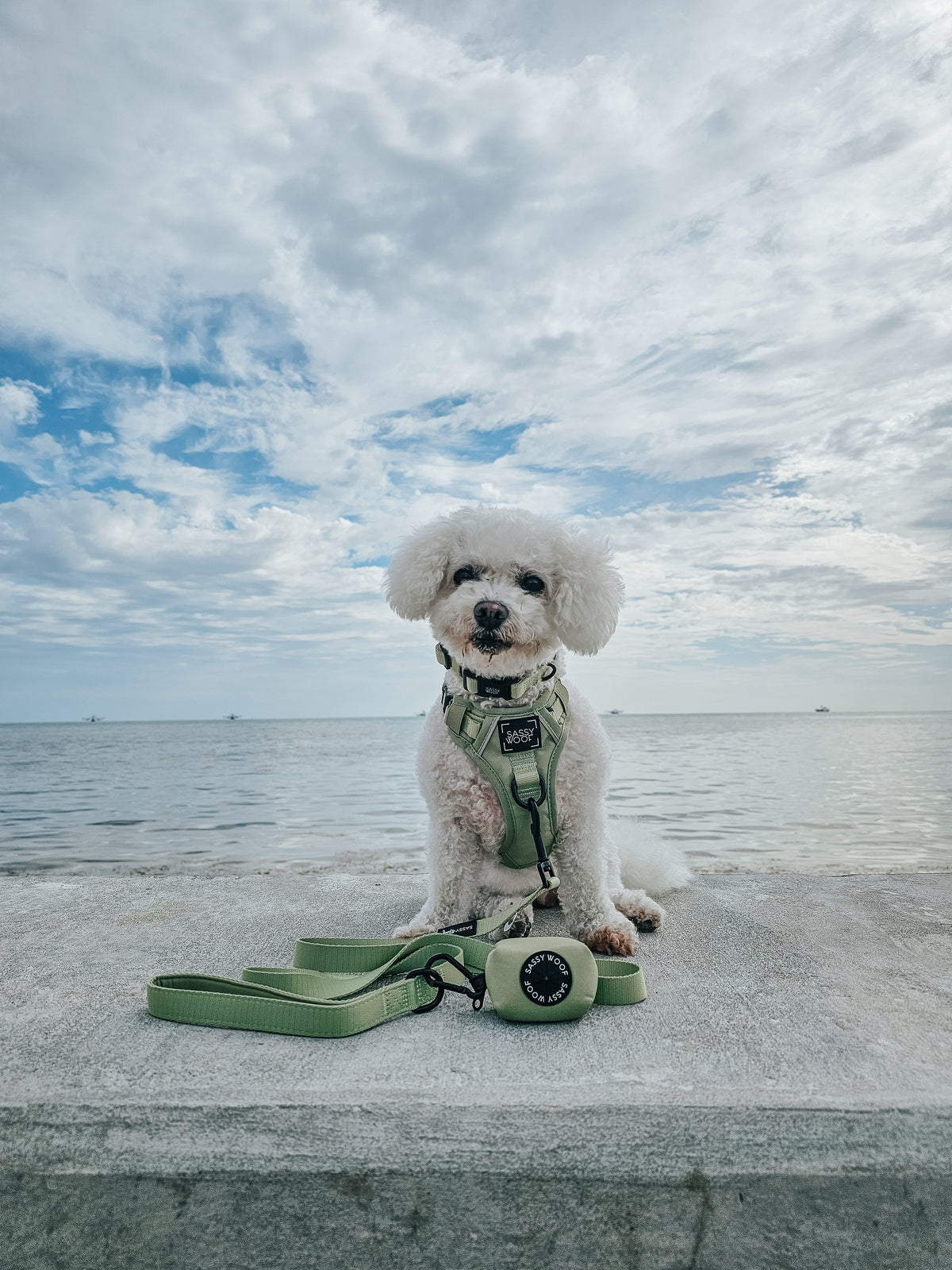 Dog Waste Bag Holder - Matcha