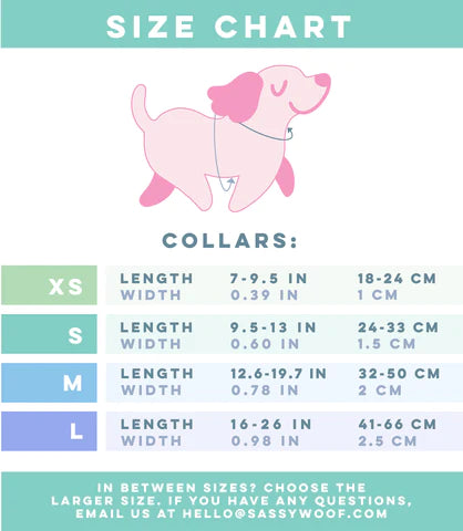 Dog Collar Three Piece Bundle - BARBIE™ Closet Goals