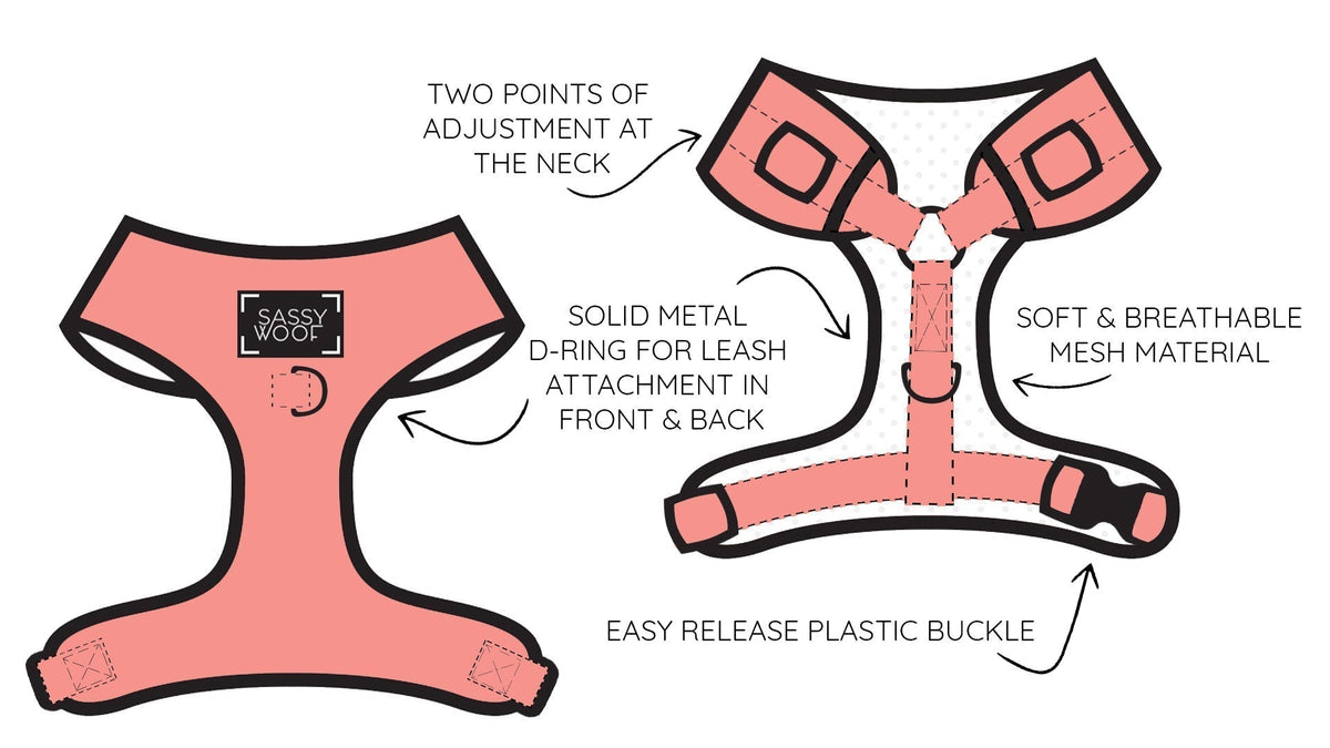 Dog Two Piece Bundle - Summer Sorbet