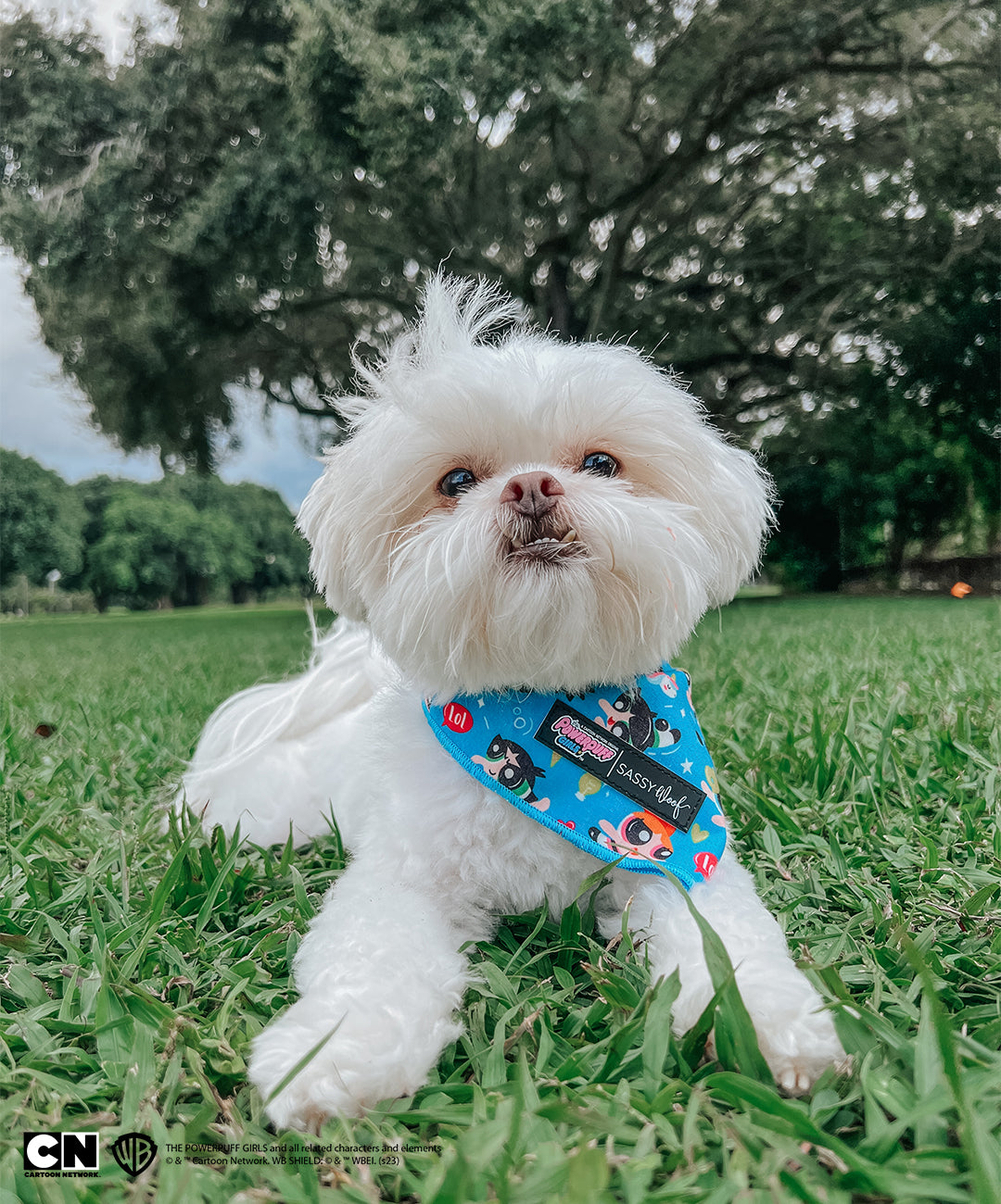 Dog Bandana - The Powerpuff Girls™ (Blue)
