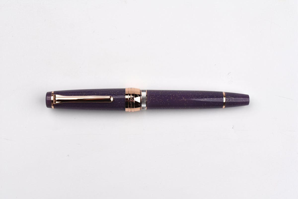 BUNGUBOX Original Large Fountain Pen - Piston - Tipsy Mood