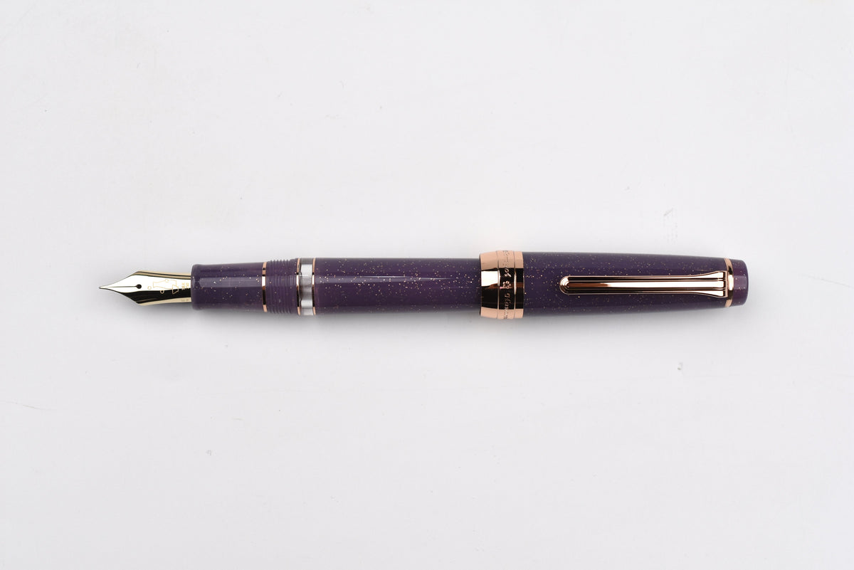 BUNGUBOX Original Large Fountain Pen - Piston - Tipsy Mood