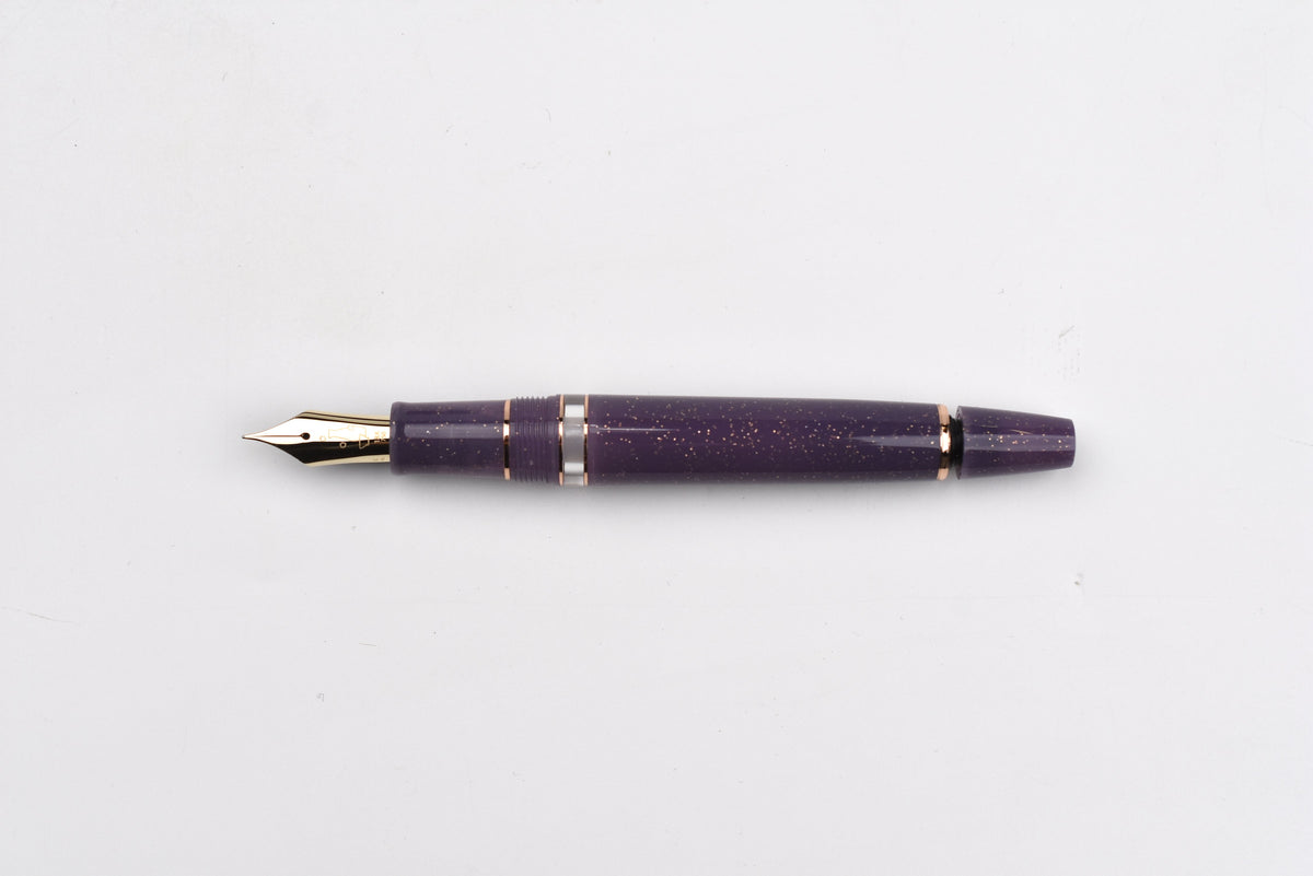 BUNGUBOX Original Large Fountain Pen - Piston - Tipsy Mood