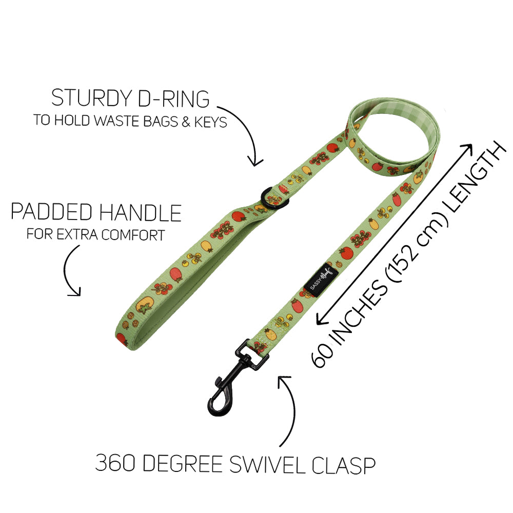 Dog Two Piece Bundle - Feeling Vine