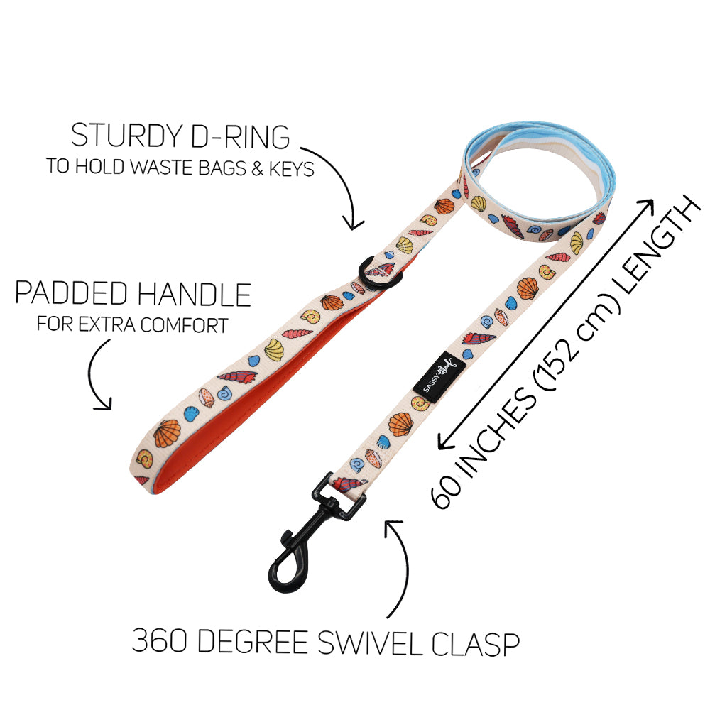 Dog Four Piece Bundle - Shell Yeah