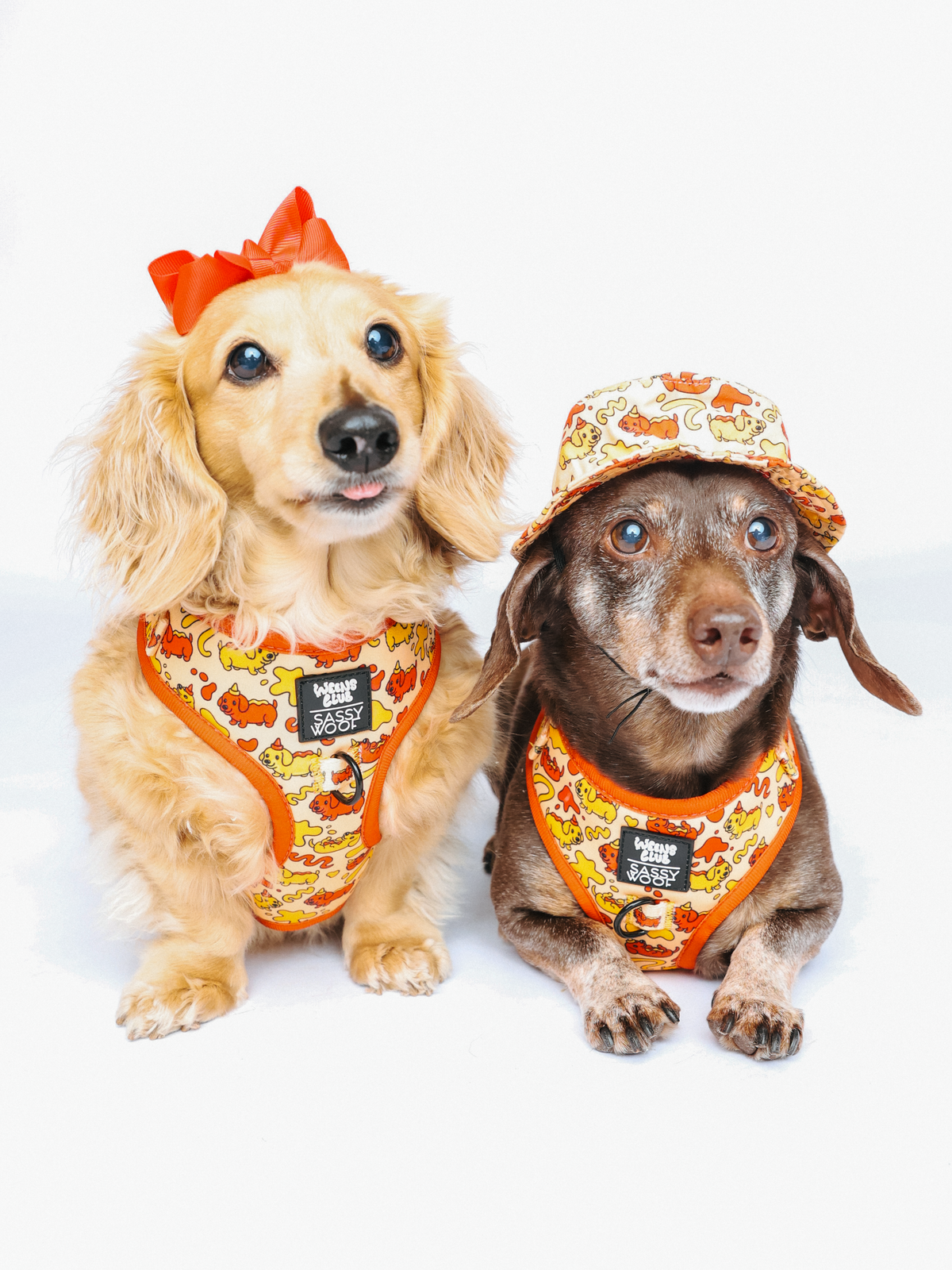 Dog Four Piece Bundle - Hot Dawg
