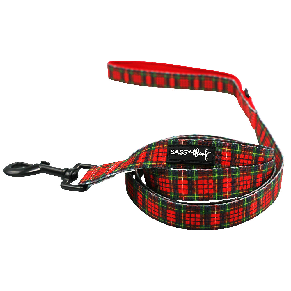 Dog Two Piece Bundle - Deck the Paws