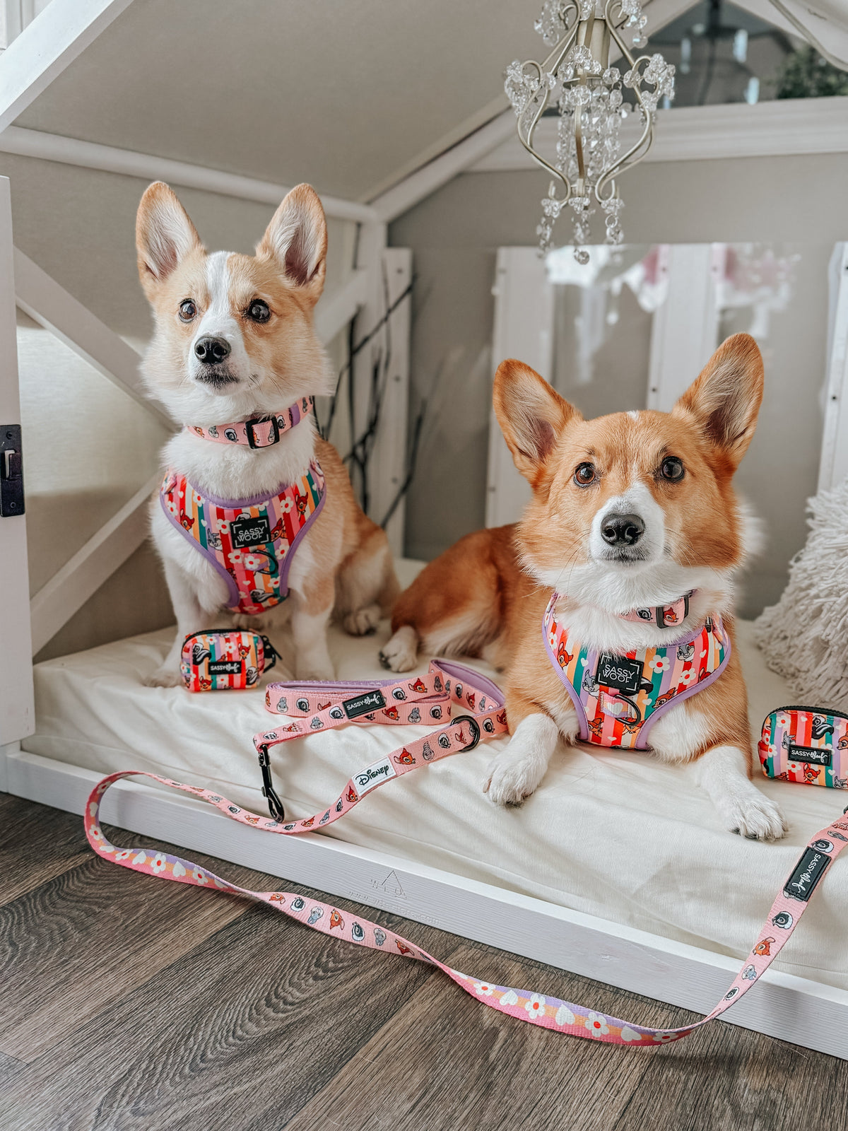 Dog Collar - Disney's Bambi