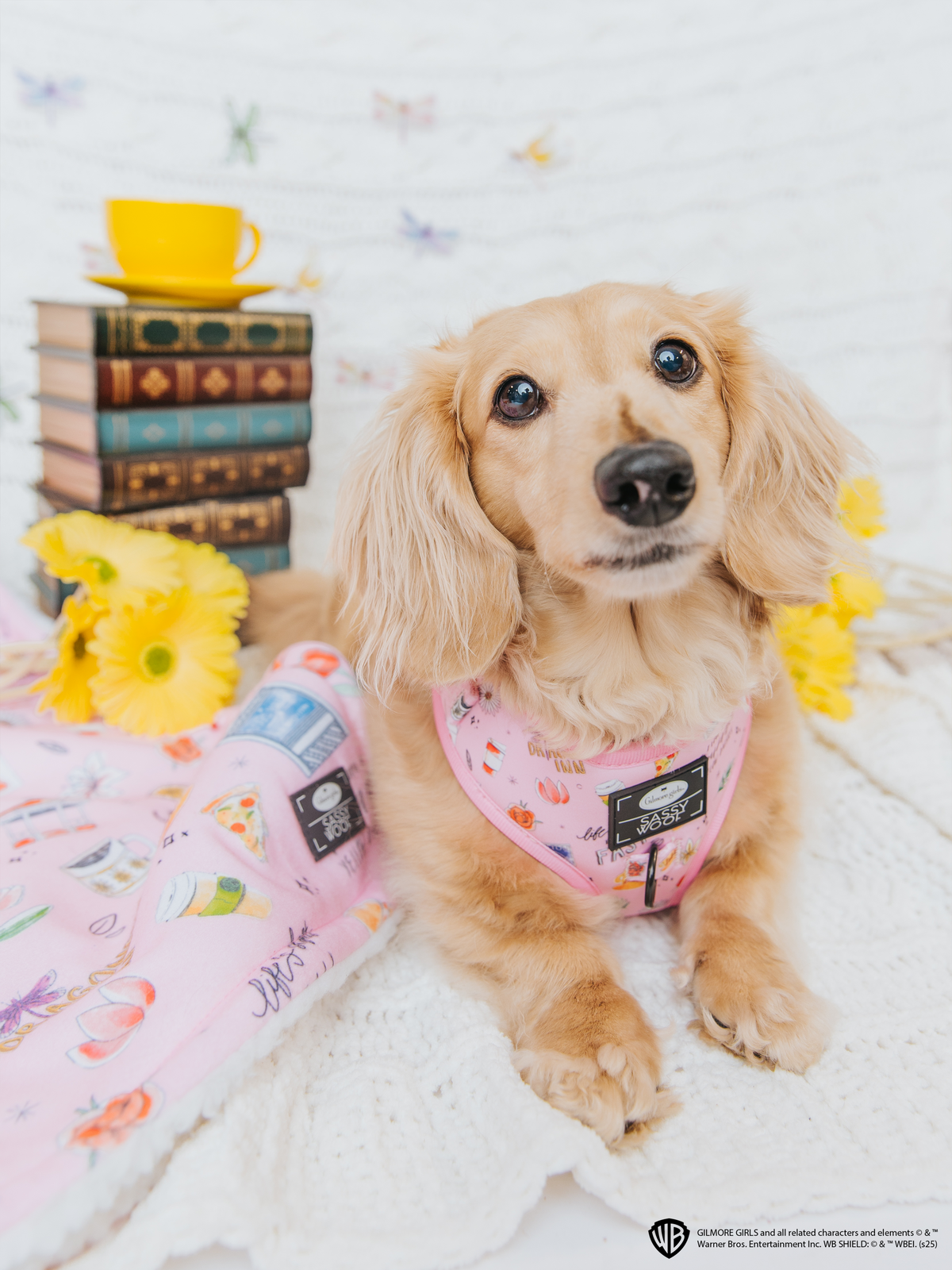 Dog Four Piece Bundle - Gilmore Girls™