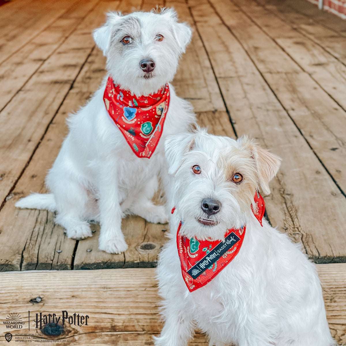Dog Bandana - Harry Potter™