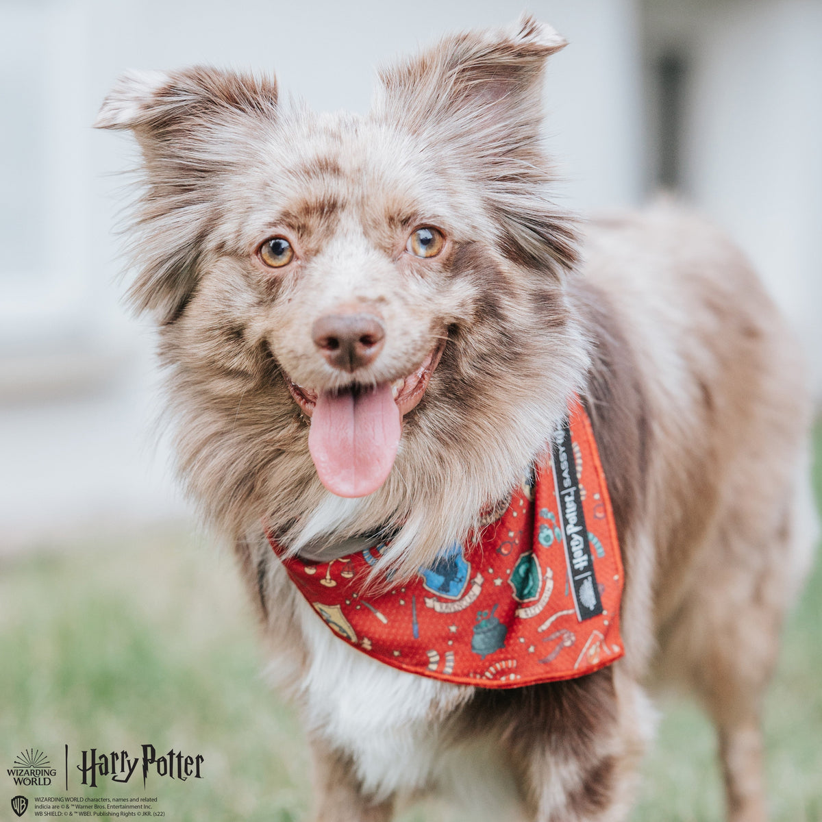 Dog Bandana - Harry Potter™