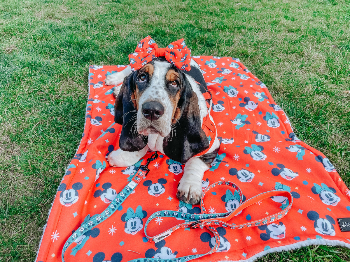 Dog Sailor Bow - Disney Holiday Collection
