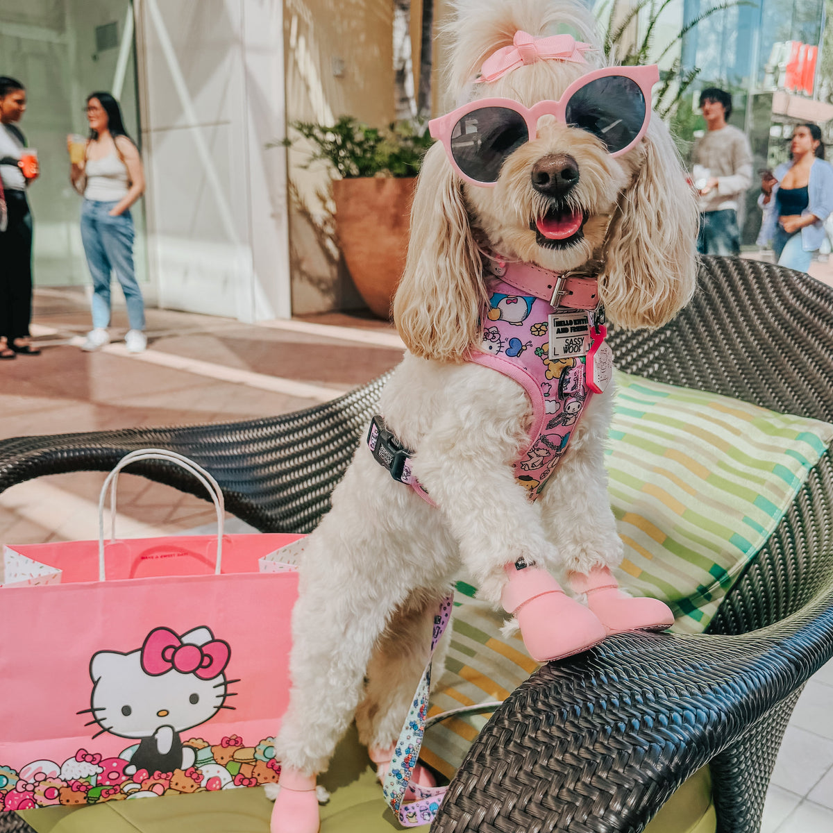 Dog Adjustable Harness - Hello Kitty® & Friends Flower Festival