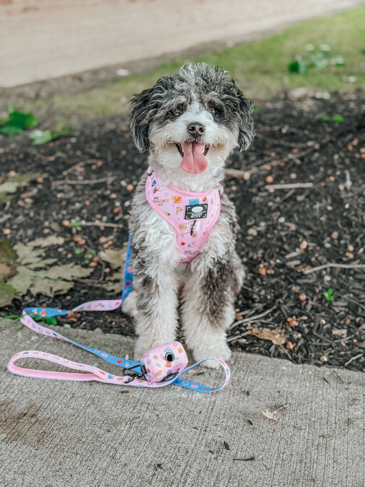 Dog Two Piece Bundle - Gilmore Girls™