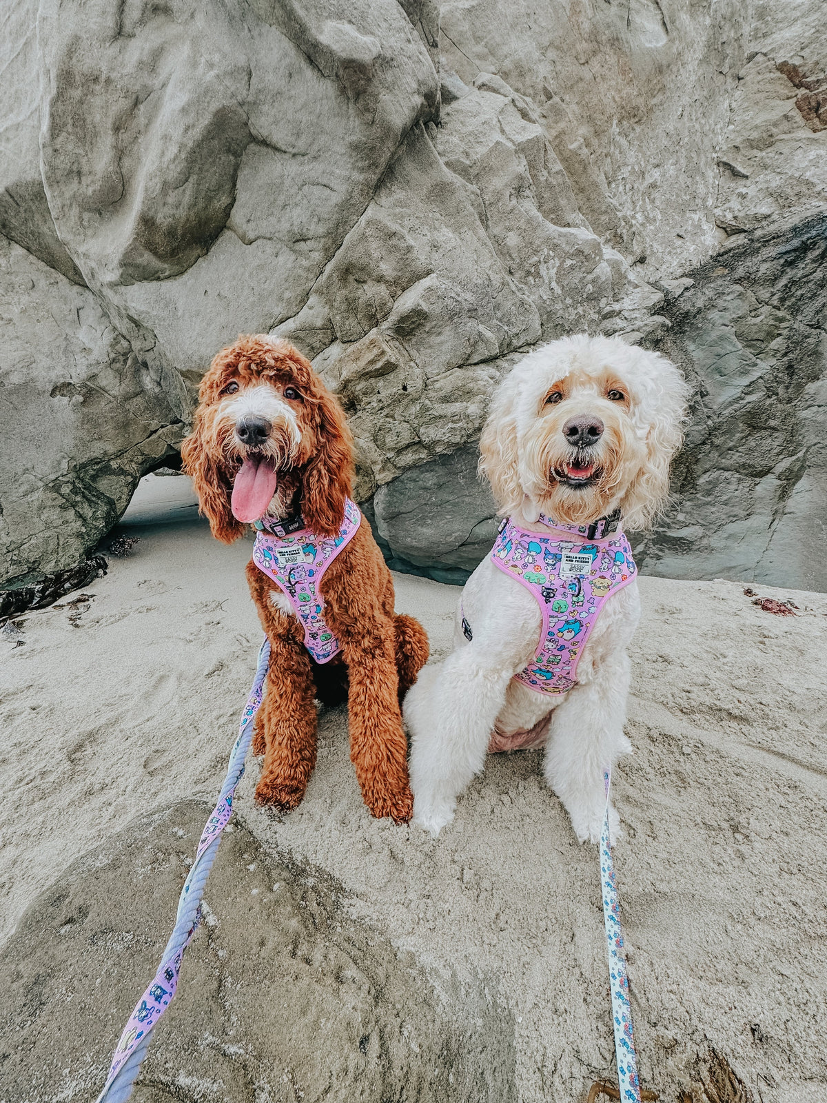 Dog Adjustable Harness - Hello Kitty® & Friends Flower Festival