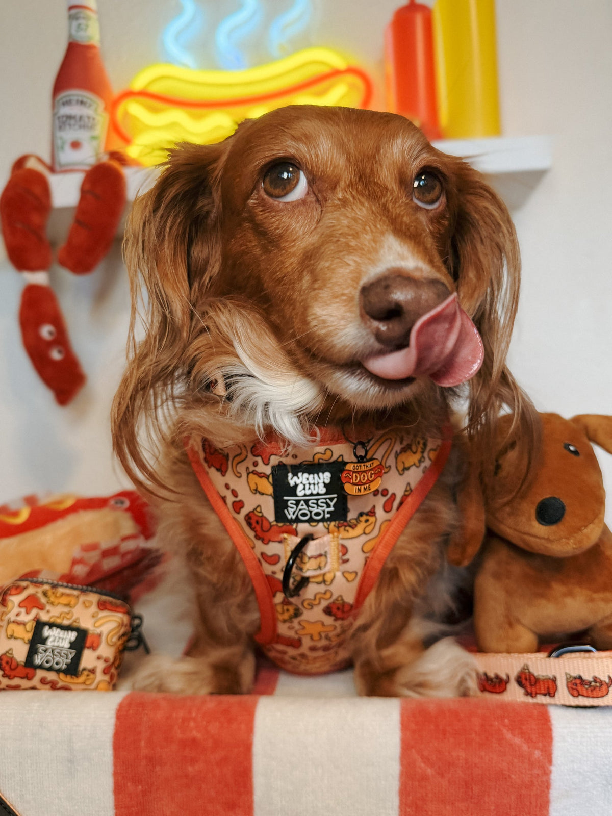 Dog Waste Bag Holder - Hot Dawg