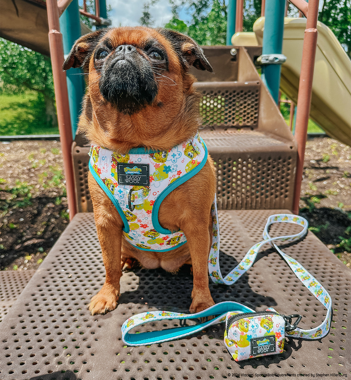 Dog Adjustable Harness - SpongeBob SquarePants™ Bikini Bottom