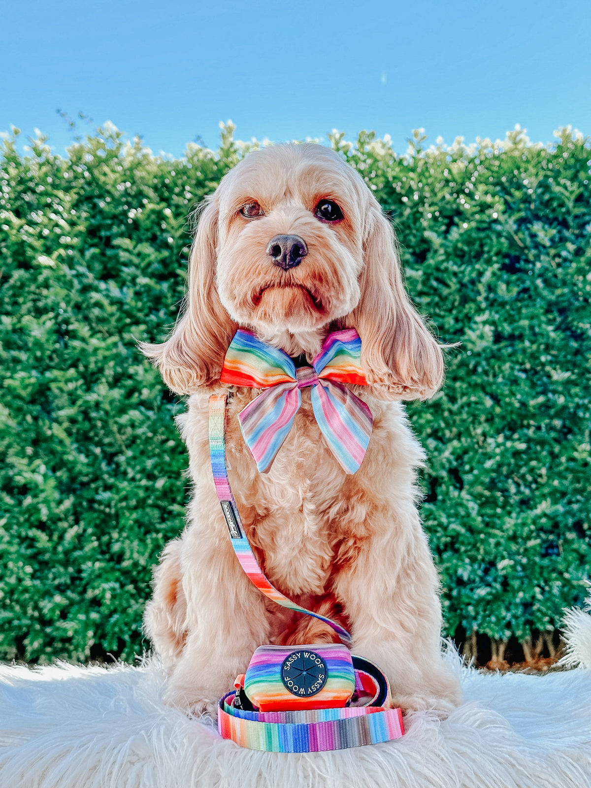 Dog Sailor Bow - Love You Fur You