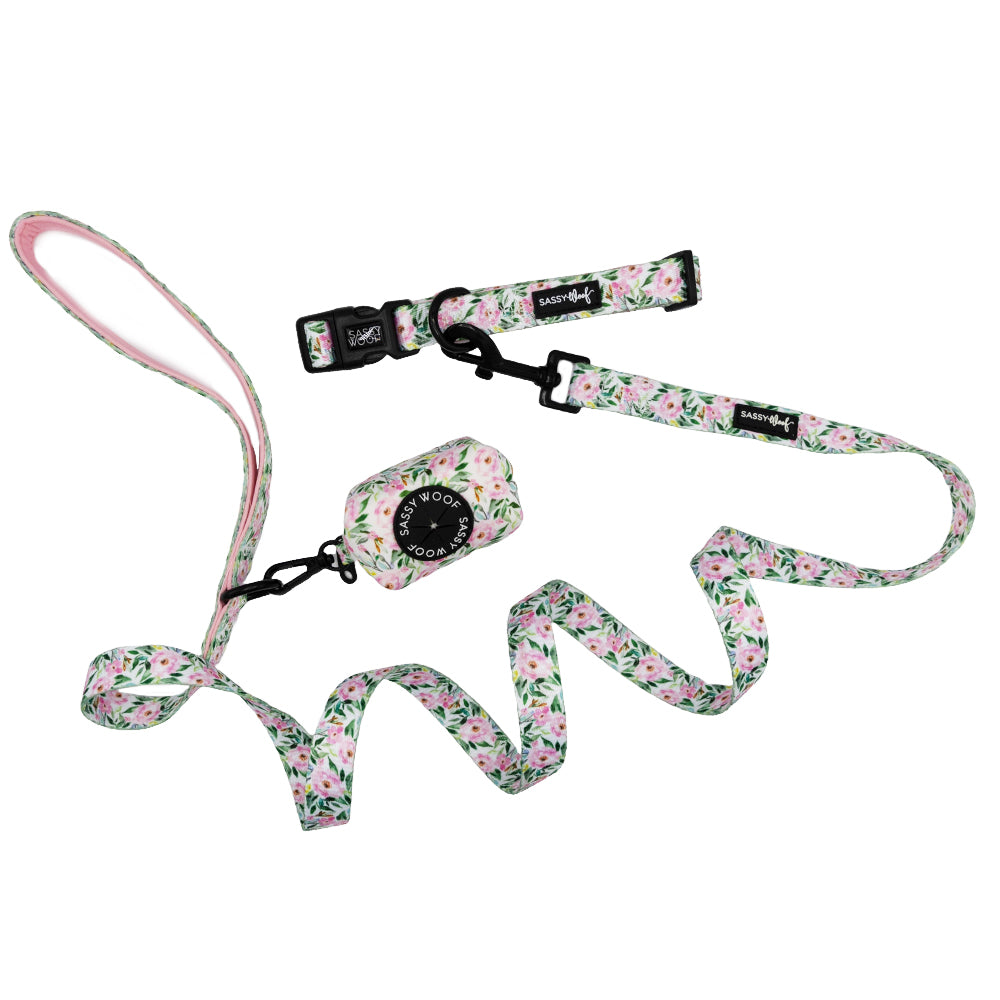 Dog Collar Three Piece Bundle - Magnolia