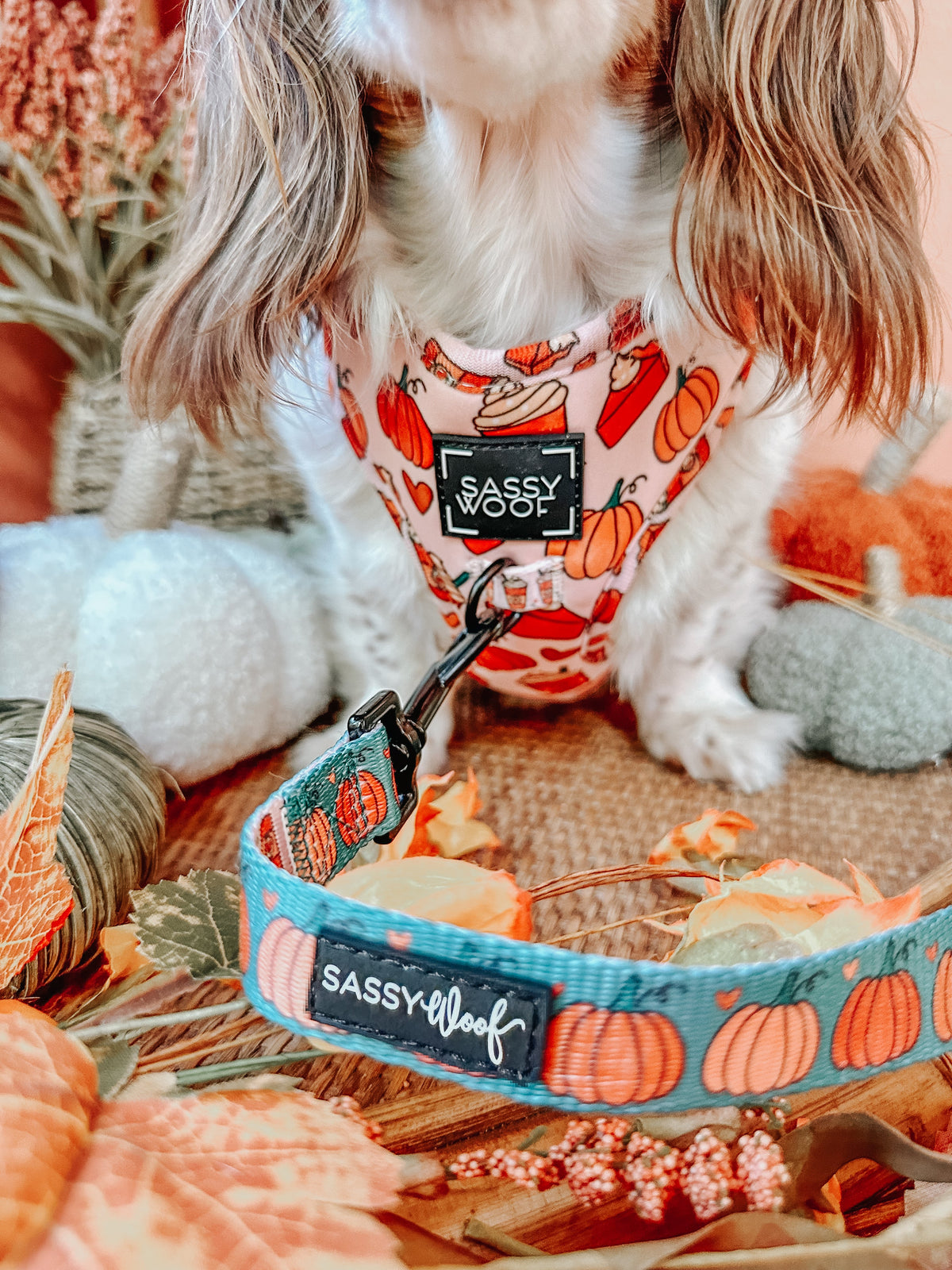 Dog Two Piece Bundle -  Pie There