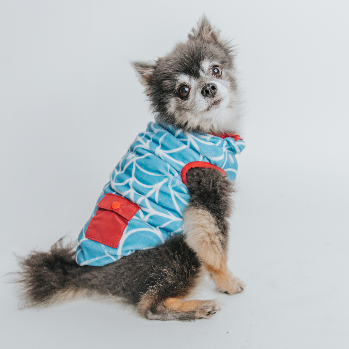 Dog Reversible Sherpa Jacket - Marvel’s Spider-Man