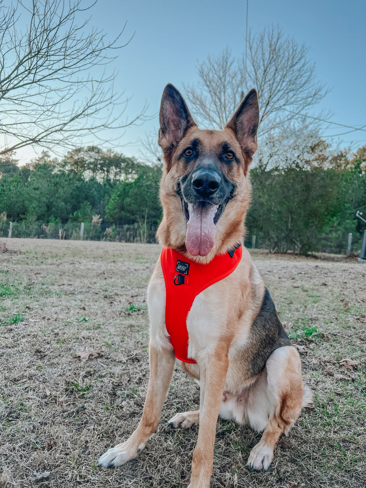 Dog Adjustable Harness - Neon Red