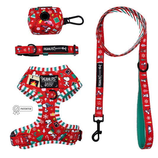 Dog Four Piece Bundle - Peanuts™ Beagle Bells
