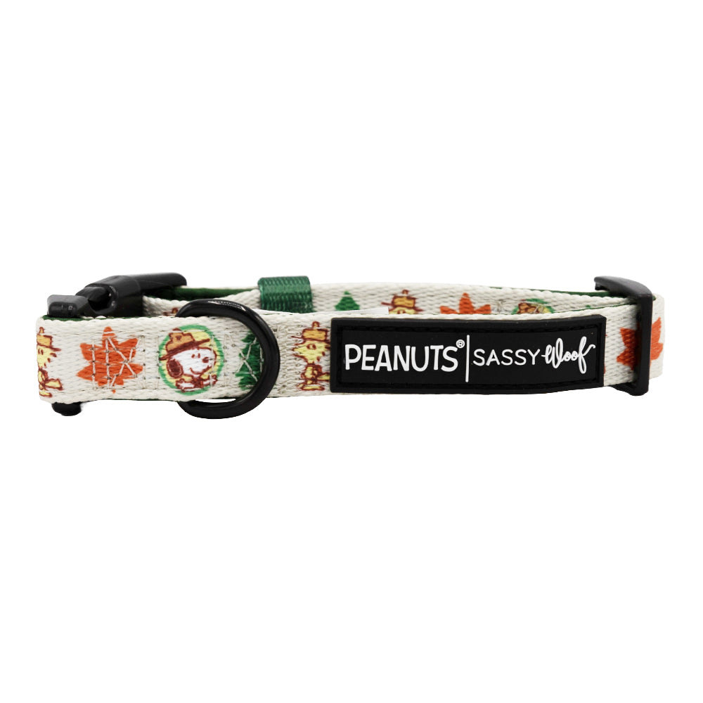 Dog Three Piece Bundle - Peanuts™ Beagle Scouts