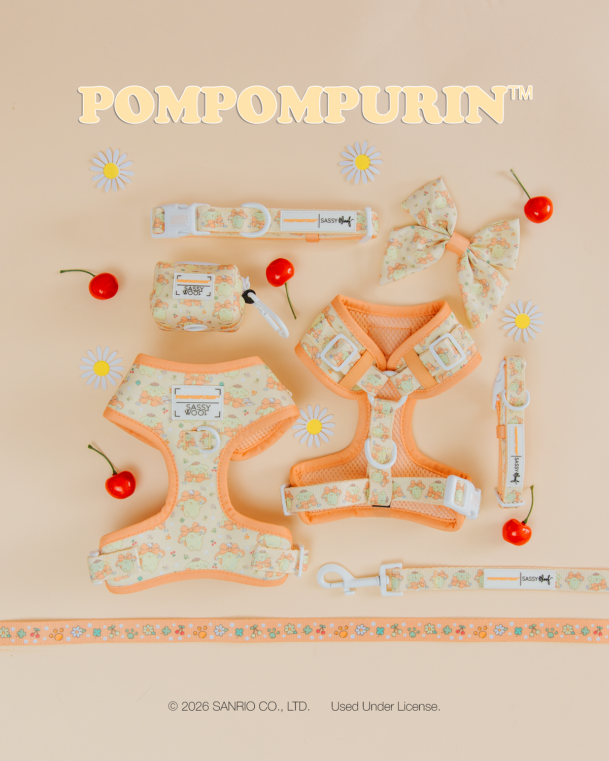 Dog Four Piece Bundle - Pompompurin™