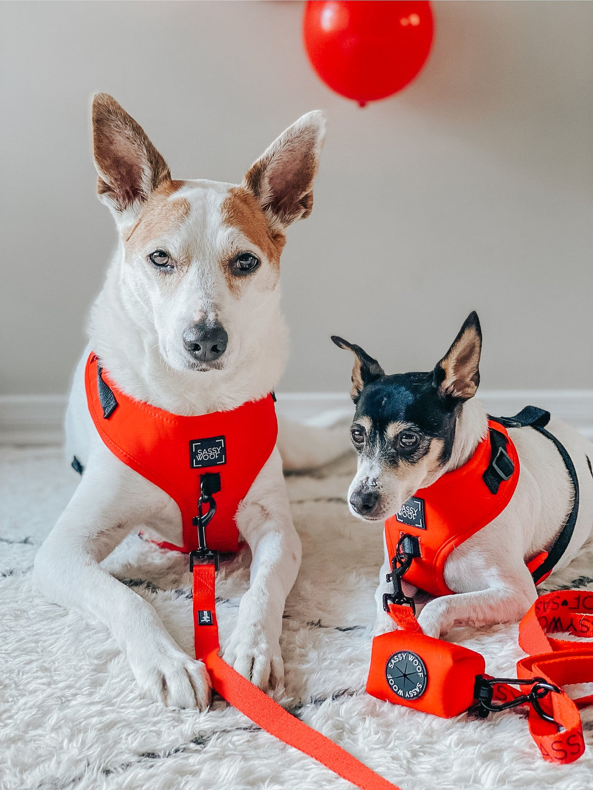 Dog Adjustable Harness - Neon Red