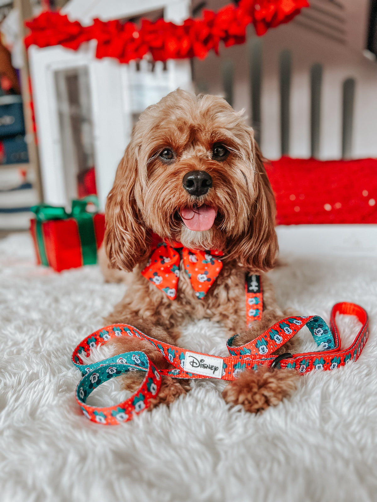 Dog Sailor Bow - Disney Holiday Collection