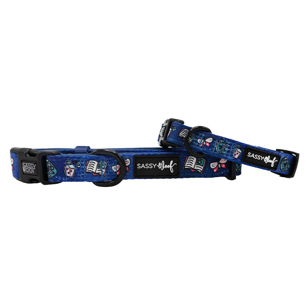 Dog Collar - Spellbound