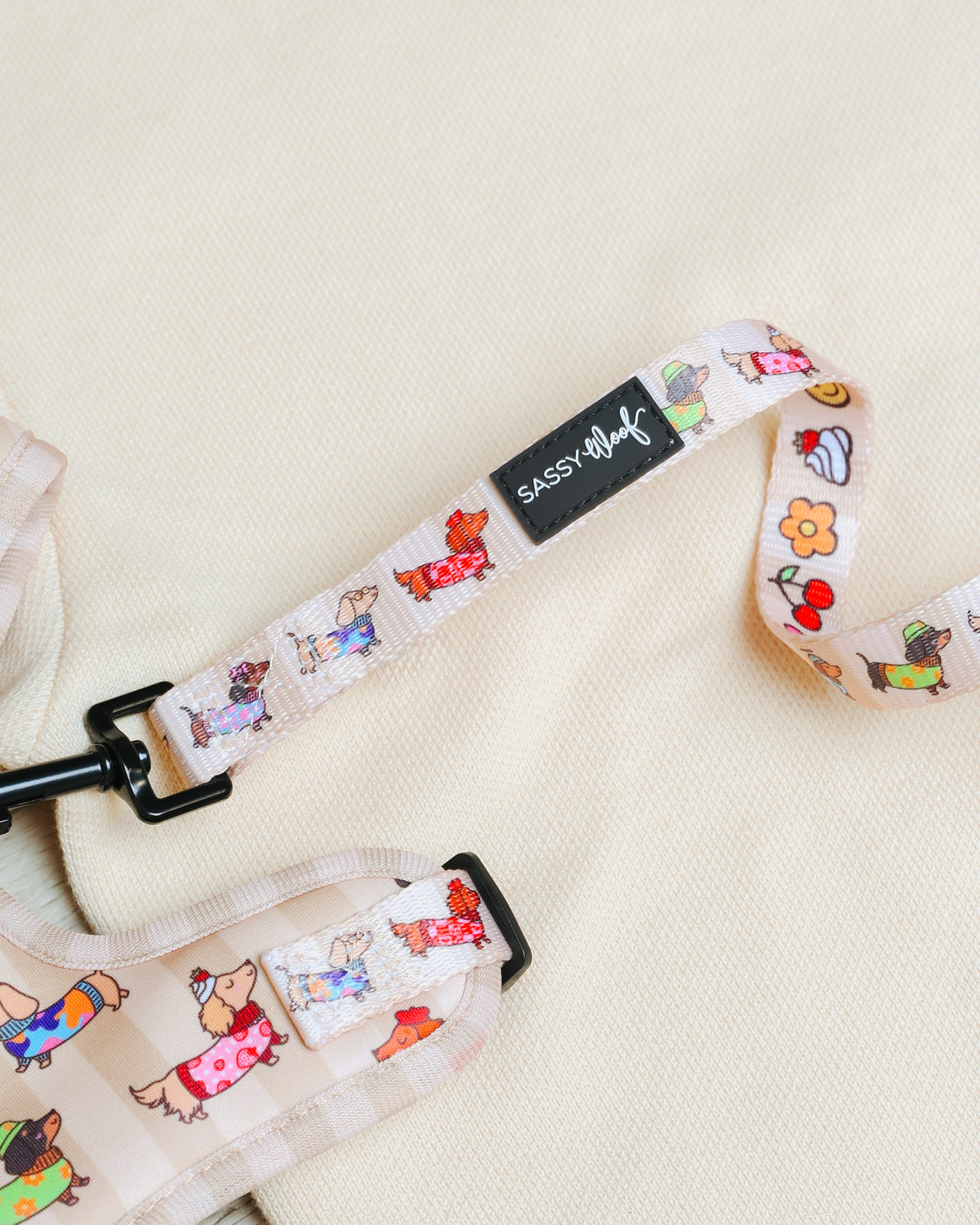 Dog Leash - Sunbean