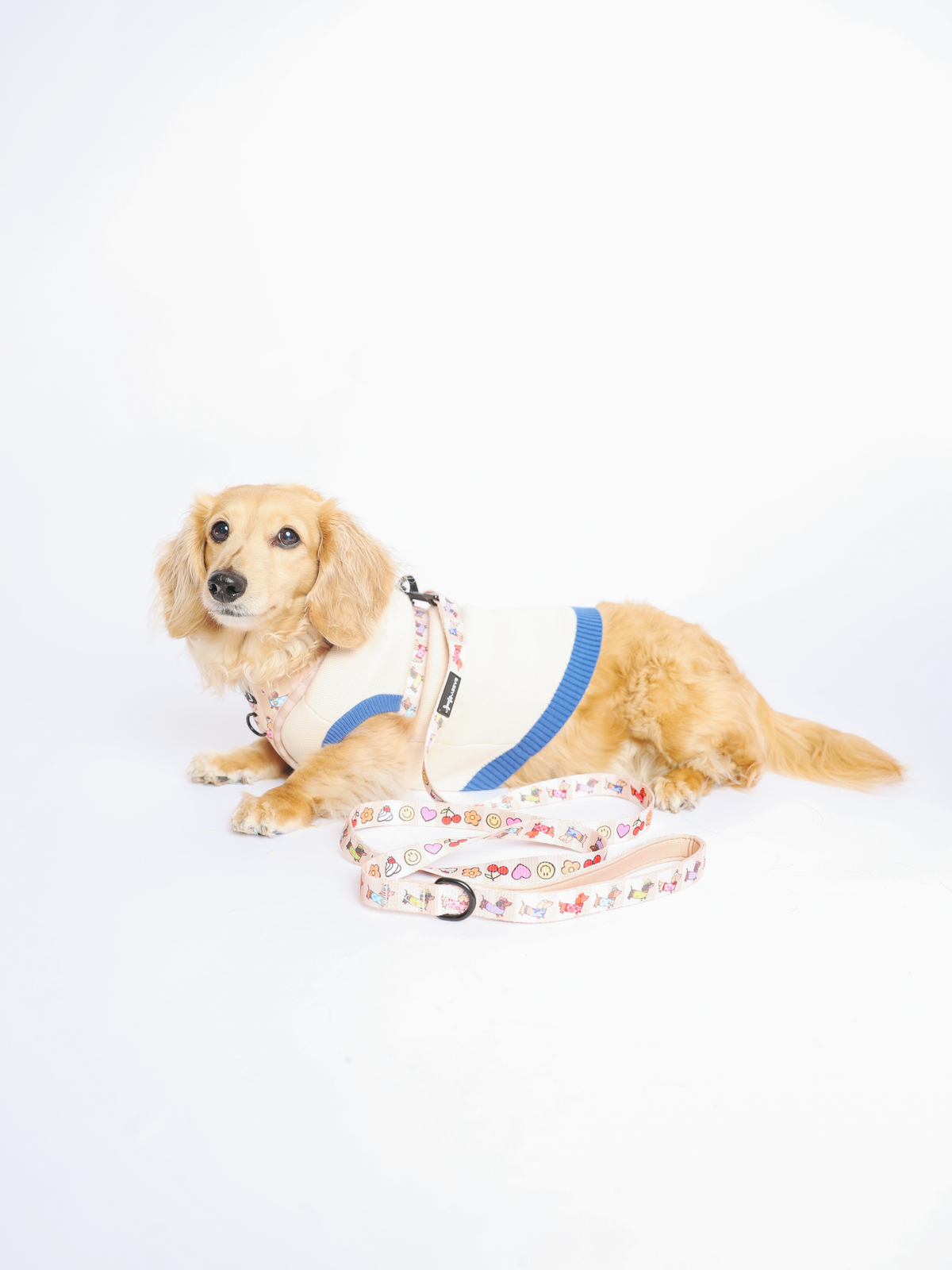 Dog Two Piece Bundle - Sunbean