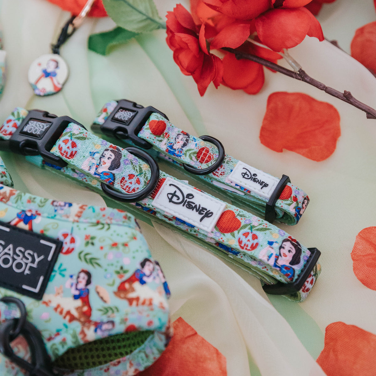 Dog Collar - Disney's Snow White