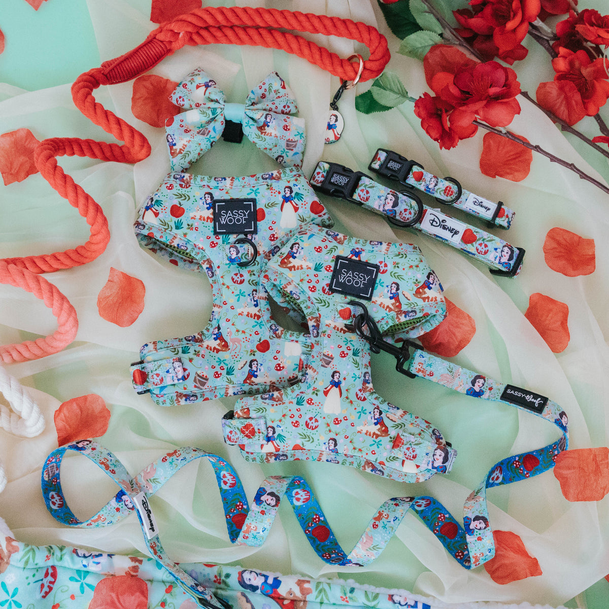 Harness Three Piece Bundle - Disney's Snow White