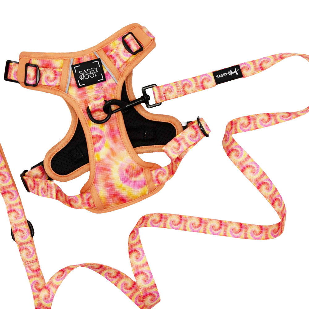 Dog Two Piece Bundle - Summer Sorbet
