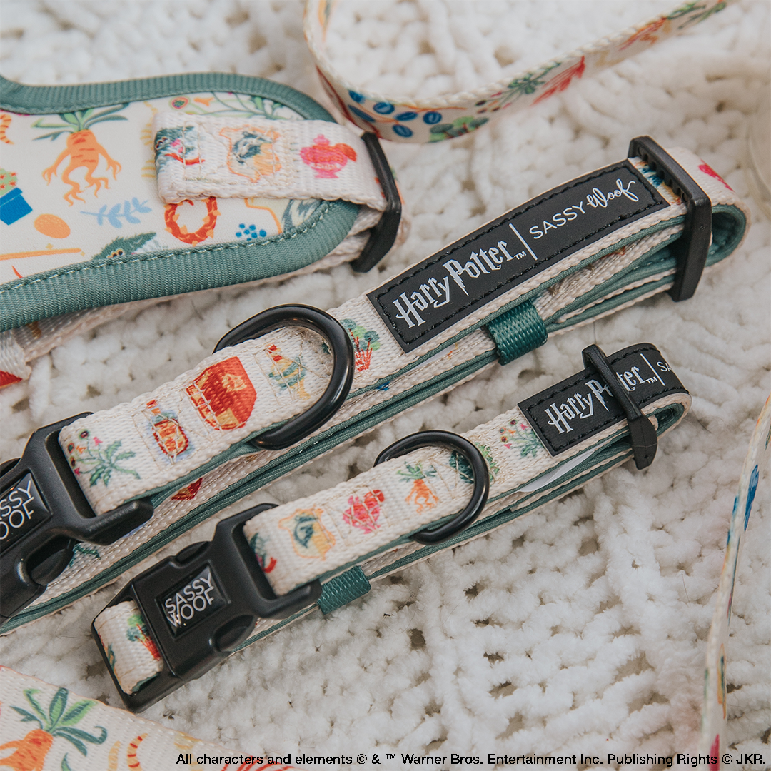 Dog Collar - Harry Potter™ Herbology