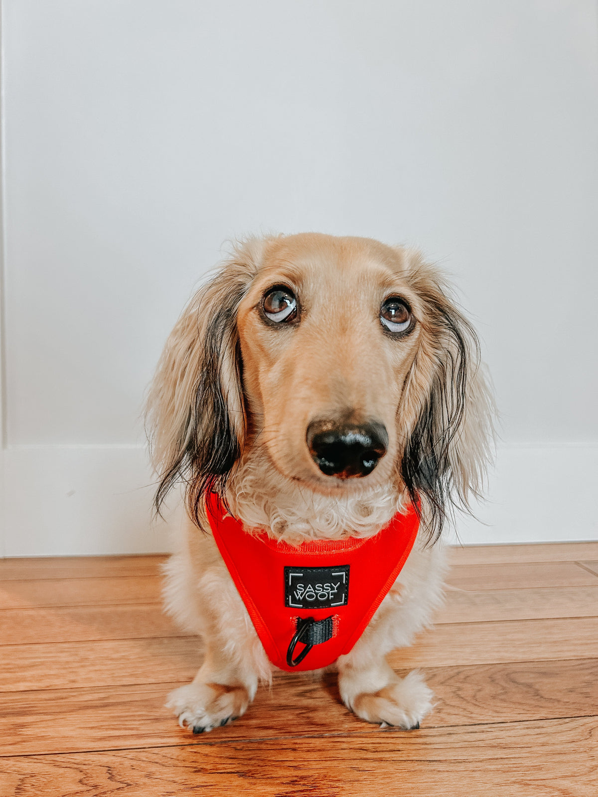 Dog Adjustable Harness - Neon Red
