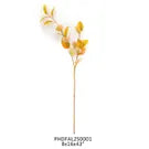 AMBER SALAL LEAF STEM - IN STORE PICK UP ONLY!