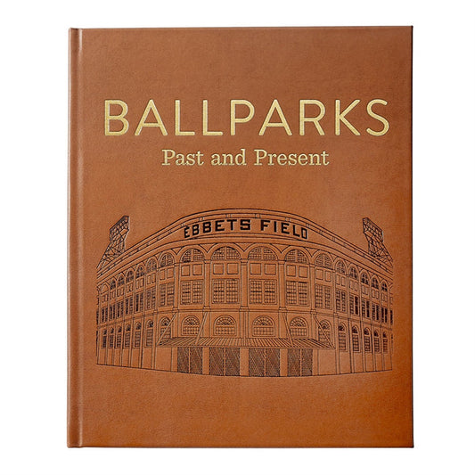 Ballparks Past and Present Books Graphic Image
