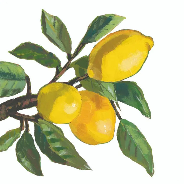 Lemon Musee