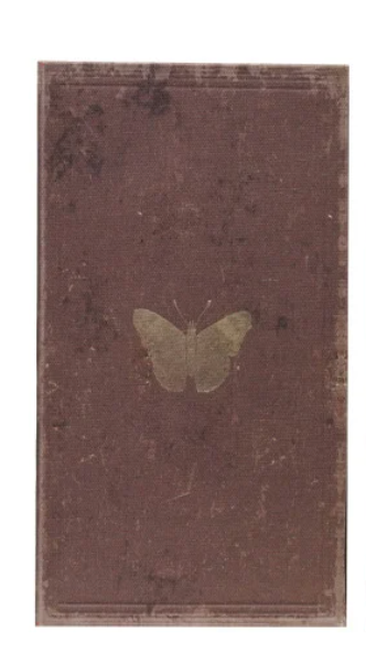 BOOK DESIGN NOTEBOOK/JOURNAL  - 6 STYLES
