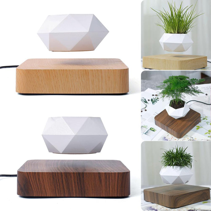 Floating Flower Pot-TopOnlineBargains.Com