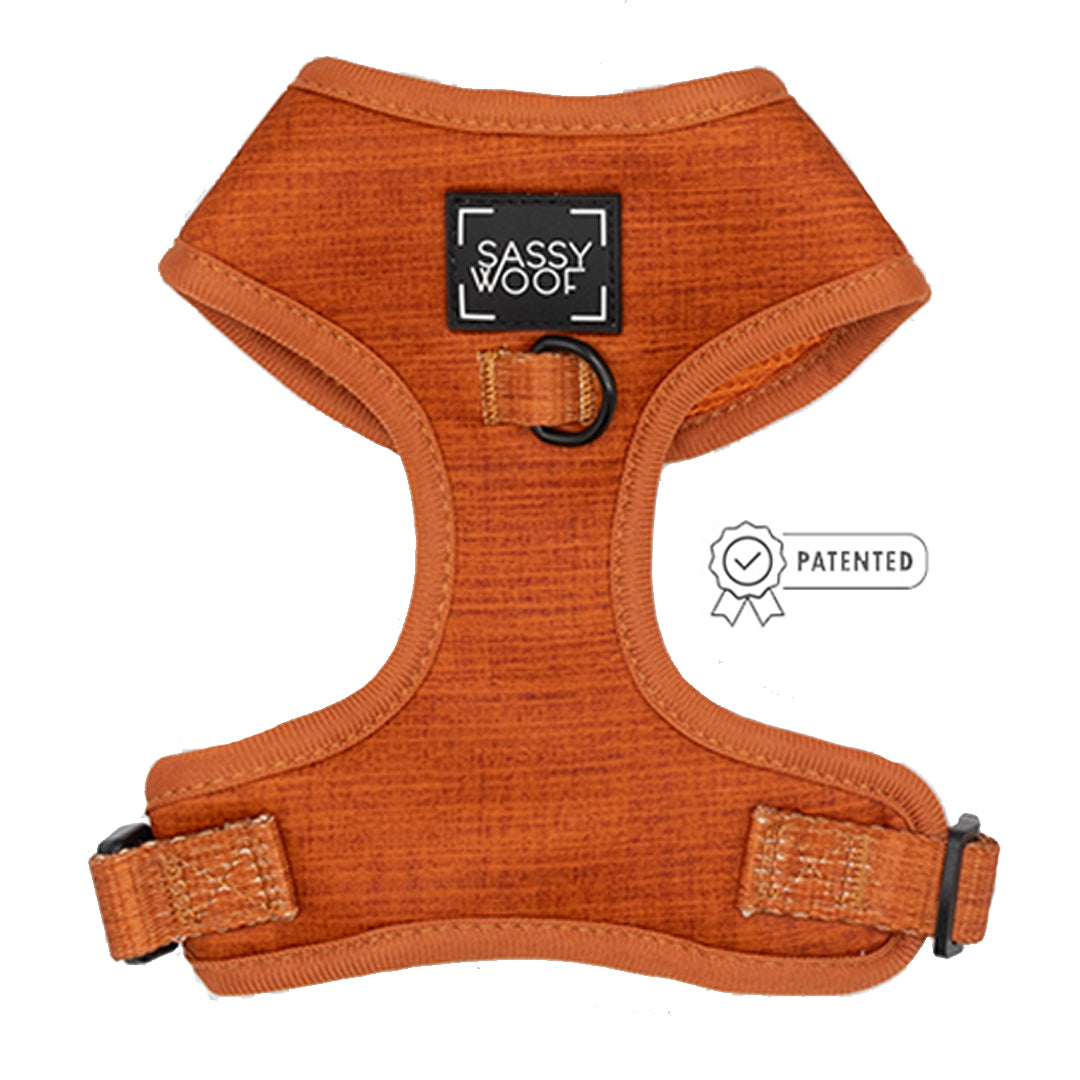 Dog Two Piece Bundle - Foxy
