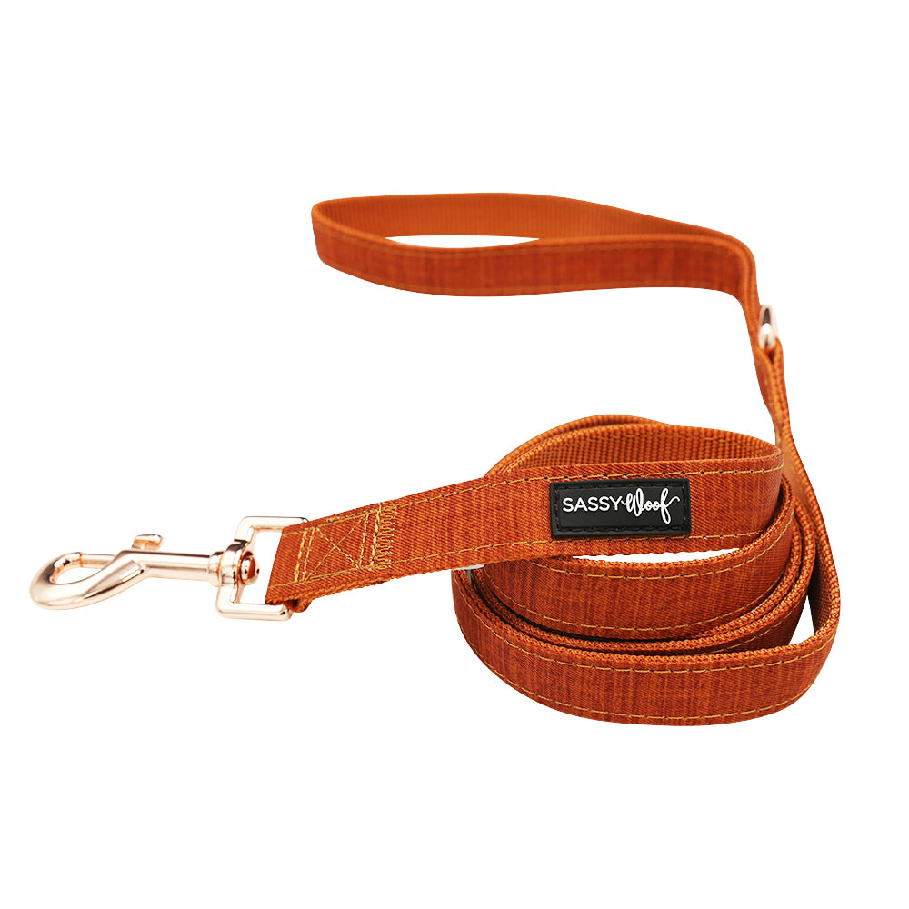 Dog Two Piece Bundle - Foxy